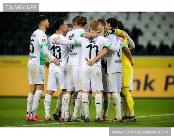 爱游戏体育成为门兴官方赞助商,全面支持球队发展与赛事推广实现双赢